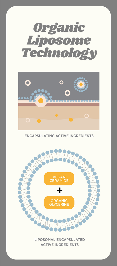 Organic liposome