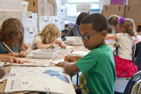 young boy at school